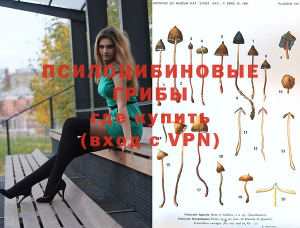 таблы Алексеевка