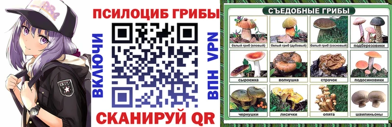 купить наркотик  Болгар  ОМГ ОМГ   Галлюциногенные грибы Psilocybine cubensis 